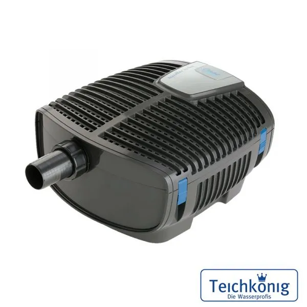 AquaMax Eco Twin 20000 Filterpumpe